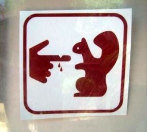 Squirrils bite sign