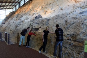 People standing near rock wall with fossils
