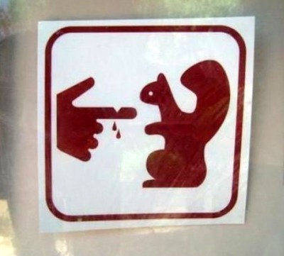 Squirrils bite sign