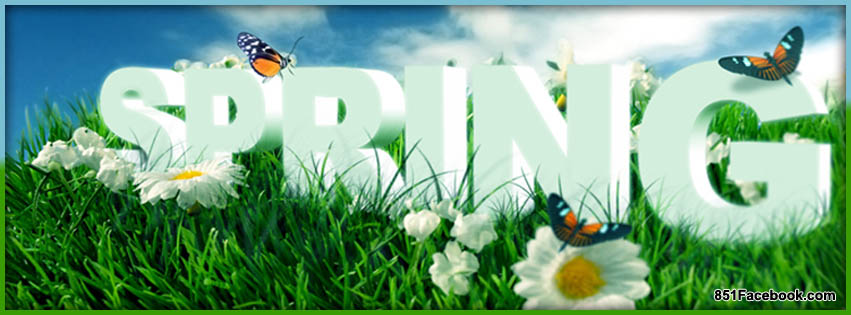 the word "spring" with green grass, flowers and butterflies