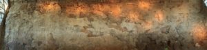 panoramic photo of rock wall with embedded fossil bones