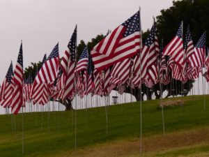 Hundreds of U.S. flags