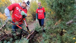 Boys trimming trees and brush