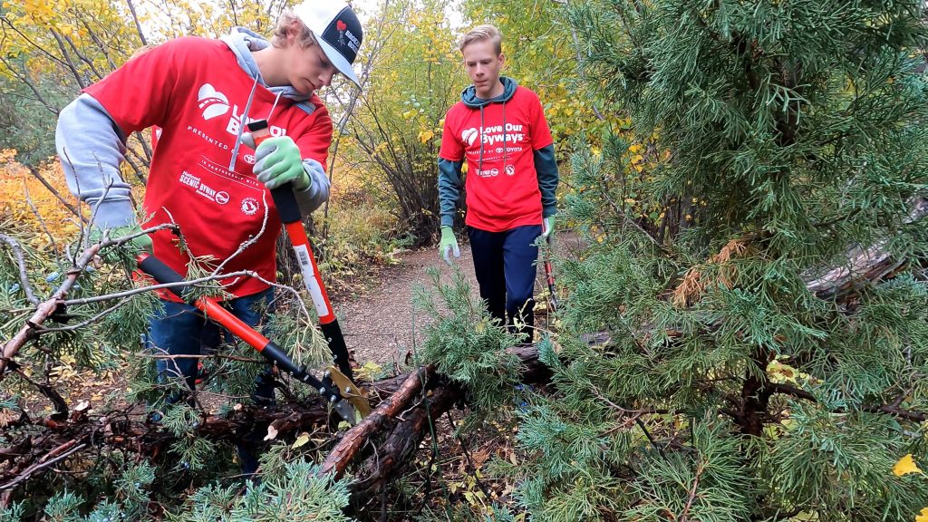 Boys trimming trees and brush